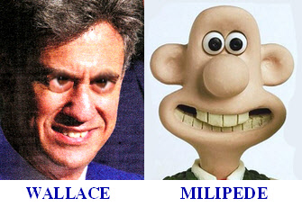 Wallace & Milipede