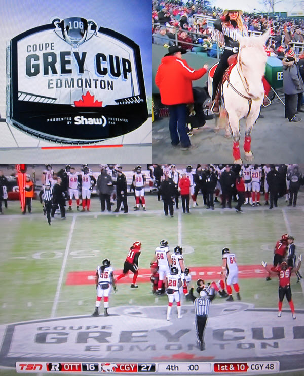 Grey Cup 106