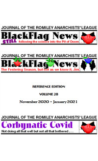 The Black Flag Volume 28